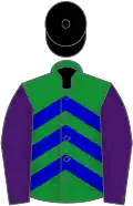 Green, blue chevrons, purple sleeves, black cap