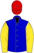 Blue, yellow sleeves, red cap