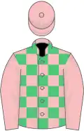 Pink and emerald green check, pink sleeves and cap