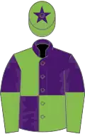 Purple and Light Green (quartered), halved sleeves, Light Green cap, Purple star
