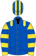 Royal blue, yellow epaulets, yellow and royal blue hooped sleeves, striped cap