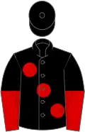 Black, large red spots, halved sleeves