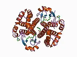 17gs: GLUTATHIONE S-TRANSFERASE P1-1