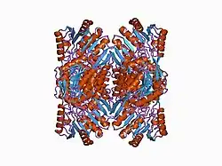 1a4z: ALDEHYDE DEHYDROGENASE FROM BOVINE MITOCHONDRIA COMPLEX WITH NAD (REDUCED) AND SAMARIUM (III)
