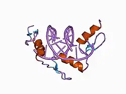 1aay: ZIF268 ZINC FINGER-DNA COMPLEX