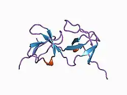 1aoj: THE SH3 DOMAIN OF EPS8 EXISTS AS A NOVEL INTERTWINED DIMER