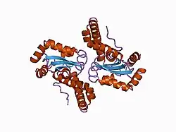 1ap5: TYR34->PHE MUTANT OF HUMAN MITOCHONDRIAL MANGANESE SUPEROXIDE DISMUTASE