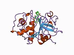 1au2: CRYSTAL STRUCTURE OF THE CYSTEINE PROTEASE HUMAN CATHEPSIN K IN COMPLEX WITH A COVALENT PROPANONE INHIBITOR