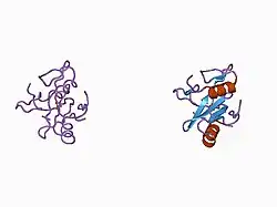 1aya: CRYSTAL STRUCTURES OF PEPTIDE COMPLEXES OF THE AMINO-TERMINAL SH2 DOMAIN OF THE SYP TYROSINE PHOSPHATASE