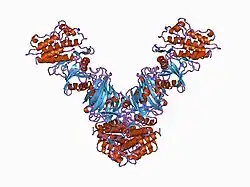 1b6c: CRYSTAL STRUCTURE OF THE CYTOPLASMIC DOMAIN OF THE TYPE I TGF-BETA RECEPTOR IN COMPLEX WITH FKBP12