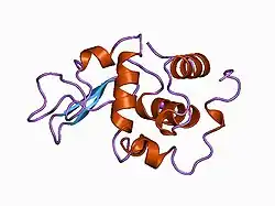1b7l: VERIFICATION OF SPMP USING MUTANT HUMAN LYSOZYMES