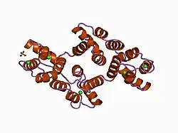 1bc1: RECOMBINANT RAT ANNEXIN V, QUADRUPLE MUTANT (T72K, S144K, S228K, S303K)
