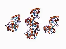 1bp5: HUMAN SERUM TRANSFERRIN, RECOMBINANT N-TERMINAL LOBE, APO FORM