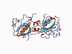 1bwn: PH DOMAIN AND BTK MOTIF FROM BRUTON'S TYROSINE KINASE MUTANT E41K IN COMPLEX WITH INS(1,3,4,5)P4