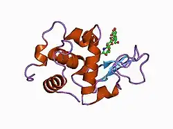 1d6q: HUMAN LYSOZYME E102 MUTANT LABELLED WITH 2',3'-EPOXYPROPYL GLYCOSIDE OF N-ACETYLLACTOSAMINE