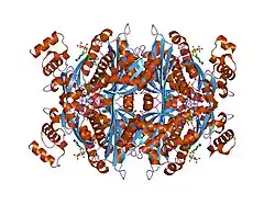 1dqa: COMPLEX OF THE CATALYTIC PORTION OF HUMAN HMG-COA REDUCTASE WITH HMG, COA, AND NADP+