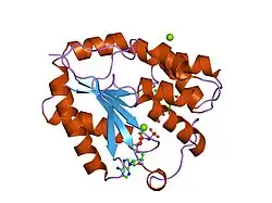 1e9b: HUMAN THYMIDYLATE KINASE COMPLEXED WITH AZTMP AND APPNP