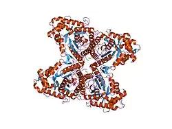 1ewe: Fructose 1,6-Bisphosphate Aldolase from Rabbit Muscle