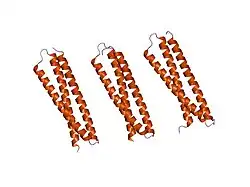 1ez3: CRYSTAL STRUCTURE OF THE NEURONAL T-SNARE SYNTAXIN-1A