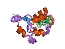 1f04: SOLUTION STRUCTURE OF OXIDIZED BOVINE MICROSOMAL CYTOCHROME B5 MUTANT (E44A, E48A, E56A, D60A) AND ITS INTERACTION WITH CYTOCHROME C