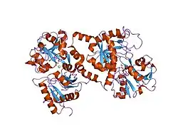 1fck: STRUCTURE OF DICERIC HUMAN LACTOFERRIN