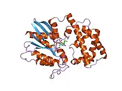 1gfi: STRUCTURES OF ACTIVE CONFORMATIONS OF GI ALPHA 1 AND THE MECHANISM OF GTP HYDROLYSIS