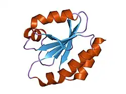 1gh2: Crystal structure of the catalytic domain of a new human thioredoxin-like protein