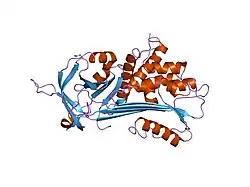 1hp7: A 2.1 ANGSTROM STRUCTURE OF AN UNCLEAVED ALPHA-1-ANTITRYPSIN SHOWS VARIABILITY OF THE REACTIVE CENTER AND OTHER LOOPS