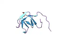 1hsq: SOLUTION STRUCTURE OF THE SH3 DOMAIN OF PHOSPHOLIPASE CGAMMA