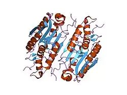 1i51: CRYSTAL STRUCTURE OF CASPASE-7 COMPLEXED WITH XIAP