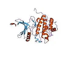 1ia8: THE 1.7 A CRYSTAL STRUCTURE OF HUMAN CELL CYCLE CHECKPOINT KINASE CHK1