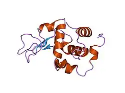 1inu: CRYSTAL STRUCTURE OF MUTANT HUMAN LYSOZYME SUBSTITUTED AT THE SURFACE POSITIONS