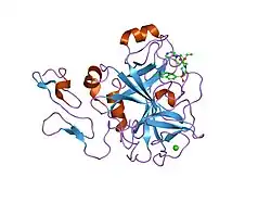 1iqf: Human coagulation factor Xa in complex with M55165