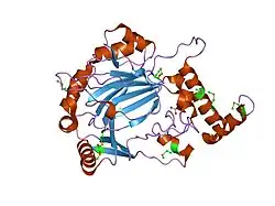 1iz3: Dimeric structure of FIH (Factor inhibiting HIF)
