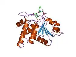 1j4x: HUMAN VH1-RELATED DUAL-SPECIFICITY PHOSPHATASE C124S MUTANT-PEPTIDE COMPLEX