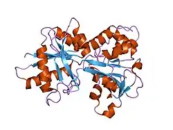 1jqf: Human Transferrin N-Lobe Mutant H249Q