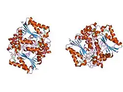 1kbo: Complex of Human recombinant NAD(P)H:Quinone Oxide reductase type 1 with 5-methoxy-1,2-dimethyl-3-(phenoxymethyl)indole-4,7-dione (ES1340)