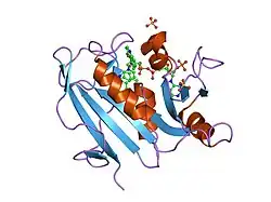 1kms: HUMAN DIHYDROFOLATE REDUCTASE COMPLEXED WITH NADPH AND 6-([5-QUINOLYLAMINO]METHYL)-2,4-DIAMINO-5-METHYLPYRIDO[2,3-D]PYRIMIDINE (SRI-9439), A LIPOPHILIC ANTIFOLATE