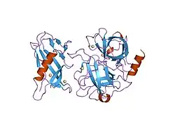 1l4z: X-RAY CRYSTAL STRUCTURE OF THE COMPLEX OF MICROPLASMINOGEN WITH ALPHA DOMAIN OF STREPTOKINASE IN THE PRESENCE CADMIUM IONS