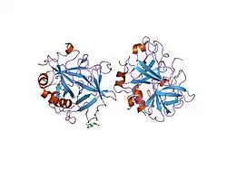 1mh0: Crystal structure of the anticoagulant slow form of thrombin