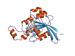 1mh1: SMALL G-PROTEIN