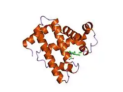 1mnh: INTERACTIONS AMONG RESIDUES CD3, E7, E10 AND E11 IN MYOGLOBINS: ATTEMPTS TO SIMULATE THE O2 AND CO BINDING PROPERTIES OF APLYSIA MYOGLOBIN