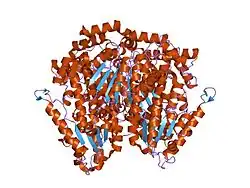 1n8t: The crystal structure of phosphoglucose isomerase from rabbit muscle