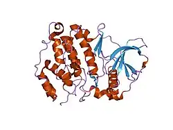 1na7: Crystal structure of the catalytic subunit of human protein kinase CK2