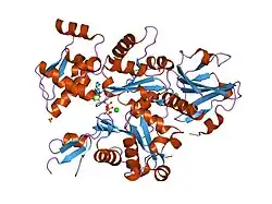 1nlv: Crystal Structure Of Dictyostelium Discoideum Actin Complexed With Ca ATP And Human Gelsolin Segment 1
