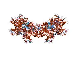 1nqt: Crystal structure of bovine Glutamate dehydrogenase-ADP complex