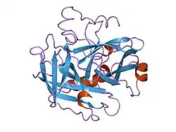 1nrr: CRYSTALLOGRAPHIC STRUCTURES OF THROMBIN COMPLEXED WITH THROMBIN RECEPTOR PEPTIDES: EXISTENCE OF EXPECTED AND NOVEL BINDING MODES