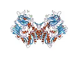 1nu6: Crystal structure of human Dipeptidyl Peptidase IV (DPP-IV)