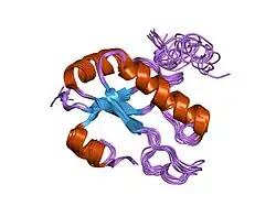 1opi: SOLUTION STRUCTURE OF THE THIRD RNA RECOGNITION MOTIF (RRM) OF U2AF65 IN COMPLEX WITH AN N-TERMINAL SF1 PEPTIDE