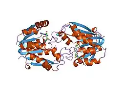 1p1c: Guanidinoacetate Methyltransferase with Gd ion